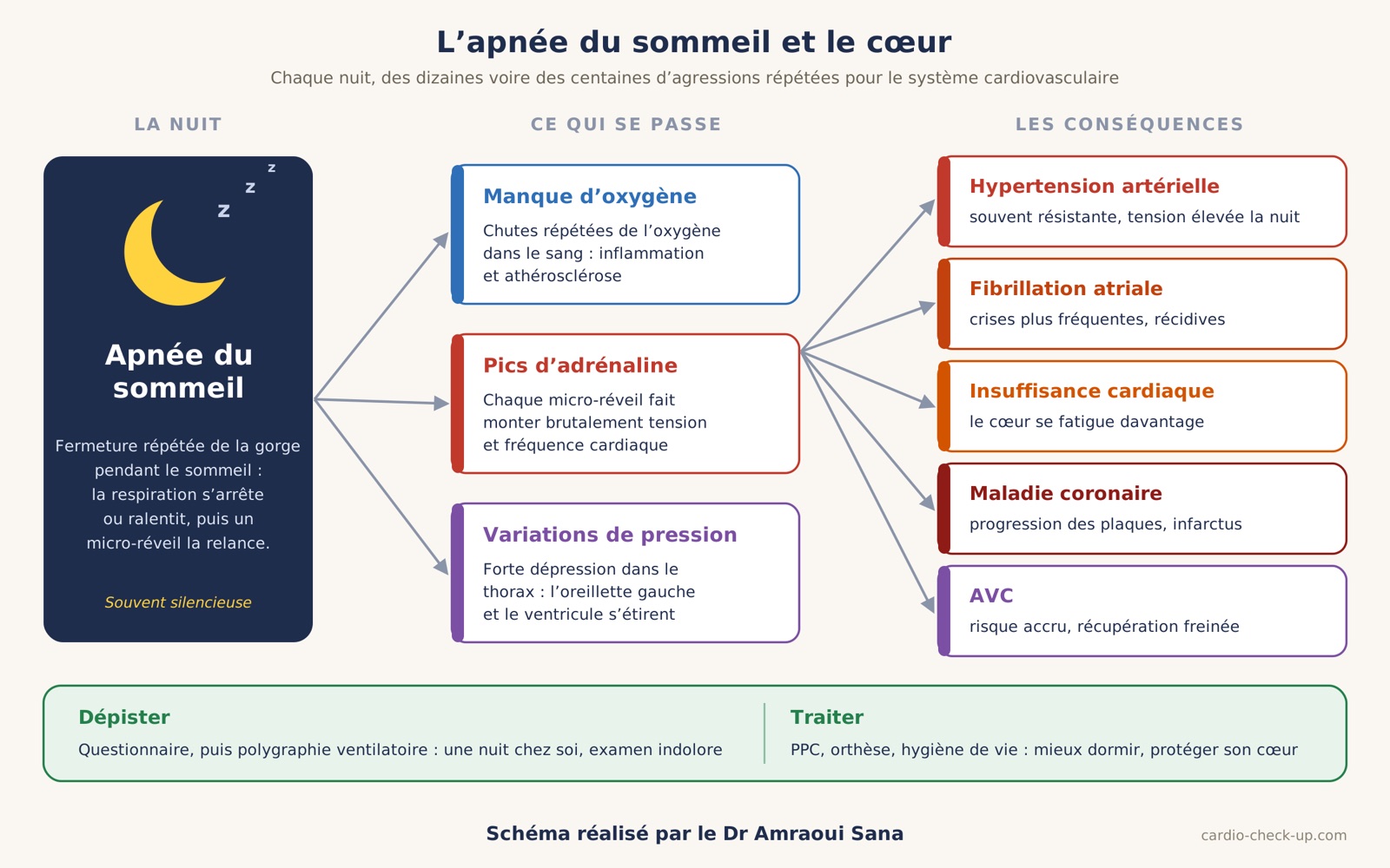 L’apnée du sommeil et le cœur